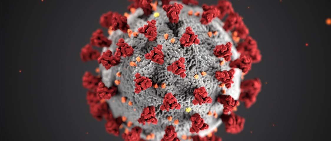 Coronavirus in the USA